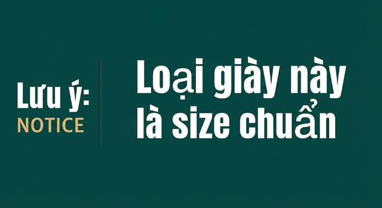 Giày Tây Mũi Nhọn Nam Da Bò Size Lớn Chiều Cao Đế Khoảng 3cm Màu Đen, Nâu chi tiết 10