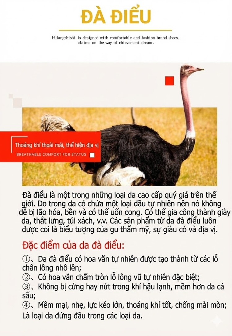 Giày Thể Thao Buộc Dây Nam Da Đà Điểu Mềm Mại Chiều Cao Đế Khoảng 3cm Màu Đen chi tiết 2
