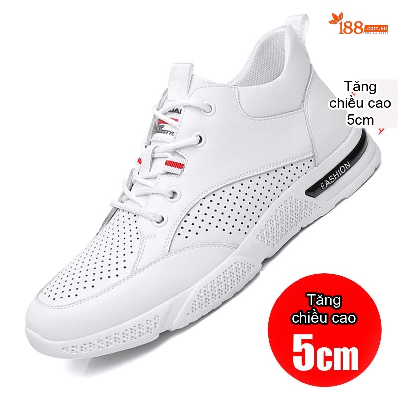 Như ảnh (8)