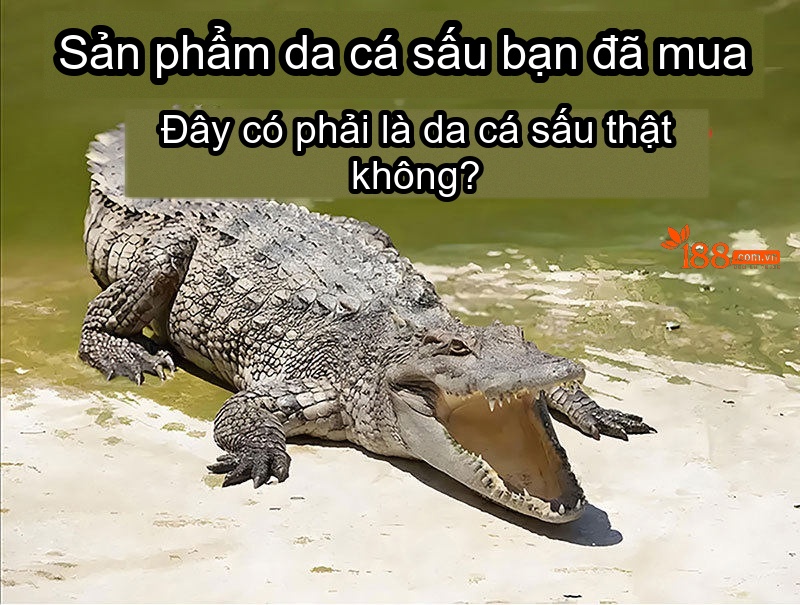 Giày Thể Thao Nam Da Cá Sấu Chiều Cao Đế Khoảng 5cm Màu Nâu Vàng, Đỏ Rượu Vang, Xanh Lam, Xám... chi tiết 1