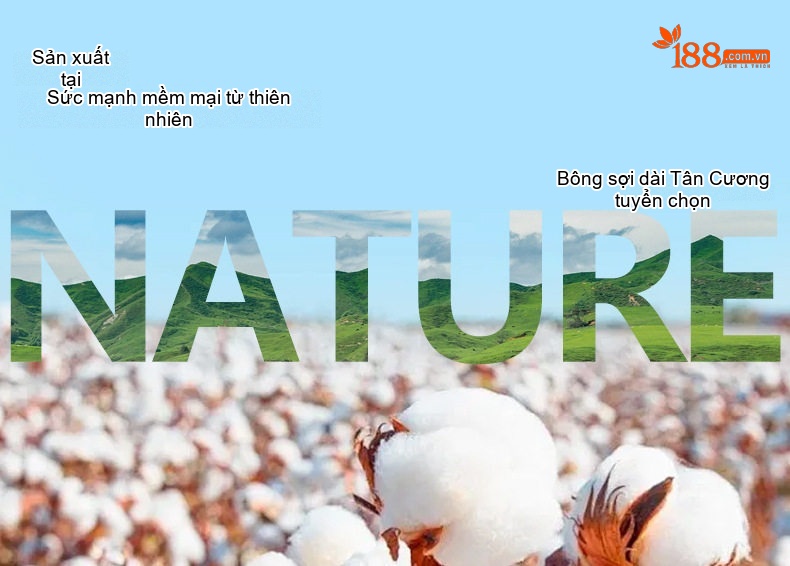 Quần Dài Nam Cotton Dài Sợi Tân Cương Co Giãn Dáng Ôm Vừa Màu Đen, Xám, Xanh Navy, Vàng Be chi tiết 2