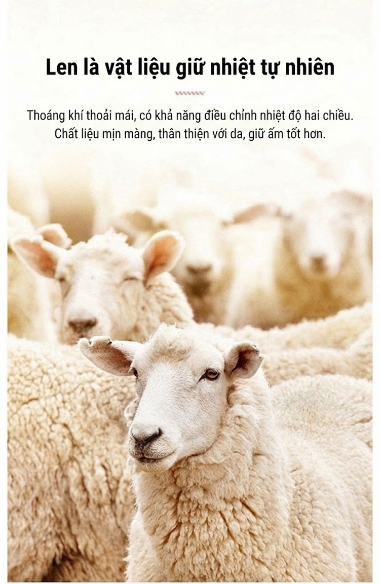 Quần Tây Nam Ống Đứng Lót Lông Cừu Giữ Ấm Chống Nhăn Màu Đen, Xám chi tiết 2