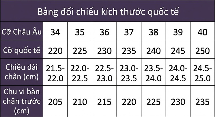 Giày Sandal Cao Gót Nữ Quai Trong Suốt Đính Đinh Gót Nhọn Gót Cao 15cm Màu Đen, Vàng, Bạc chi tiết 31