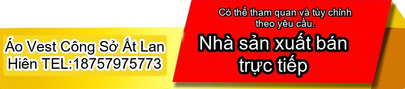 Set Áo Gile Vest Nữ Thiết Kế Cổ Điển Phong Cách Công Sở Màu Đen, Nâu chi tiết 1