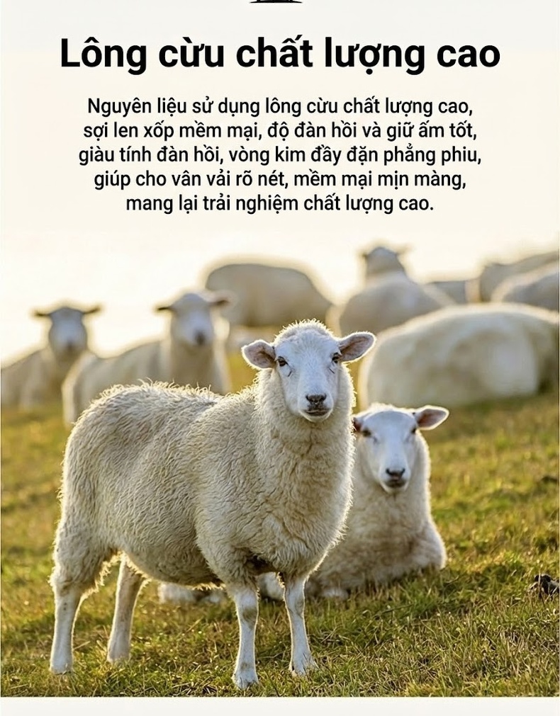 Set Áo Khoác Và Chân Váy Nữ Hai Mặt Vải Lông Cừu Phong Cách Tiểu Thư Màu Nâu, Kem, Xám chi tiết 5