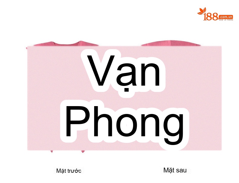 Set Bộ Quần Áo Nữ Áo Gile Kèm Quần Short Phong Cách Pháp Màu Hồng chi tiết 7