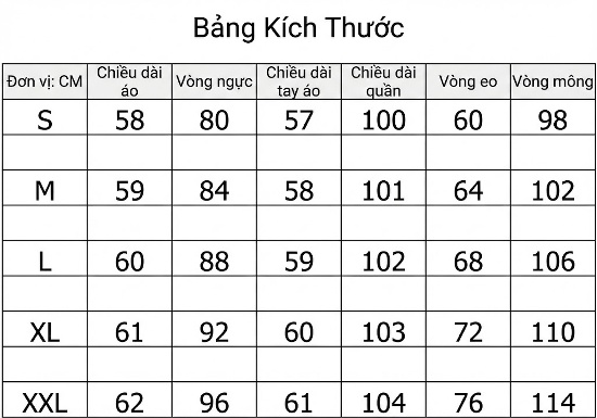 Set bộ thể thao nữ quần ống rộng dáng suông thanh lịch chi tiết 1