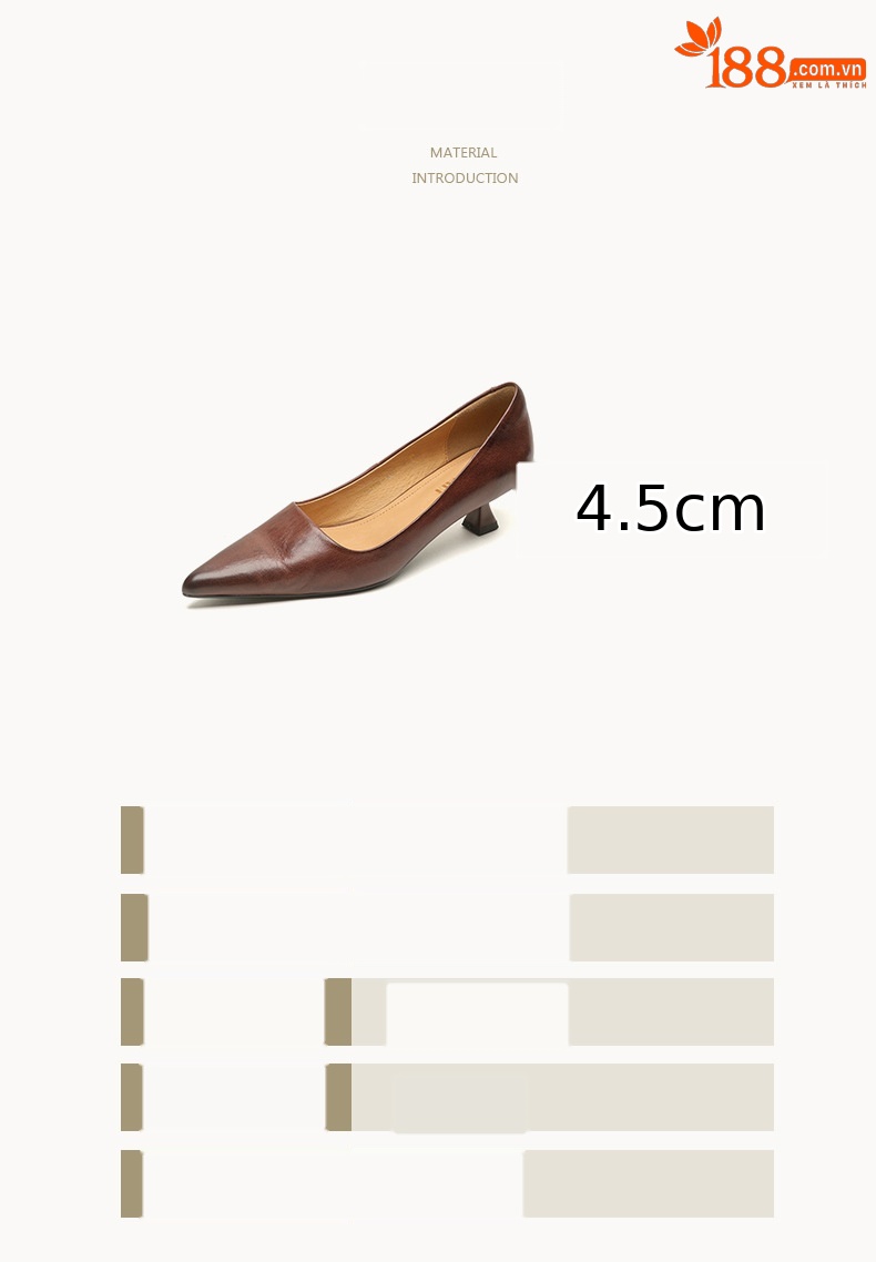 Giày cao gót nữ mũi nhọn gót thấp 3 cm phong cách Hàn Quốc — màu nâu chi tiết 3