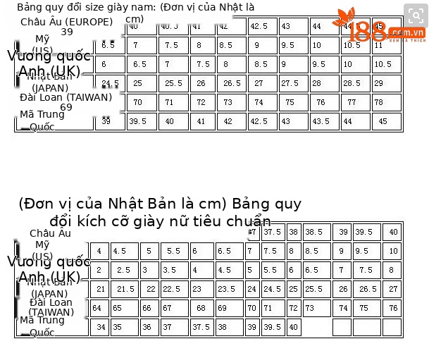 Giày cao gót nữ gót vuông ổn định, mũi tròn, quai dây buộc, họa tiết hoa sơn trà, đế dày tăng chiều cao — màu đen, màu trắng ngà chi tiết 24