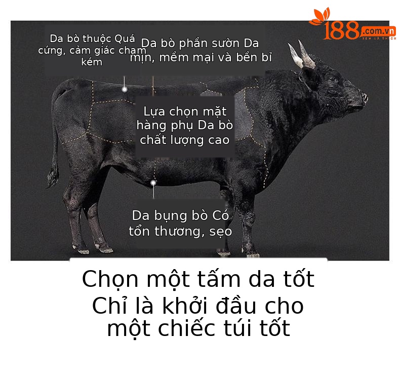 Túi đeo chéo nữ da thật phong cách thời trang cao cấp, kiểu dáng nhỏ gọn — Lớn gạo trắng chi tiết 13