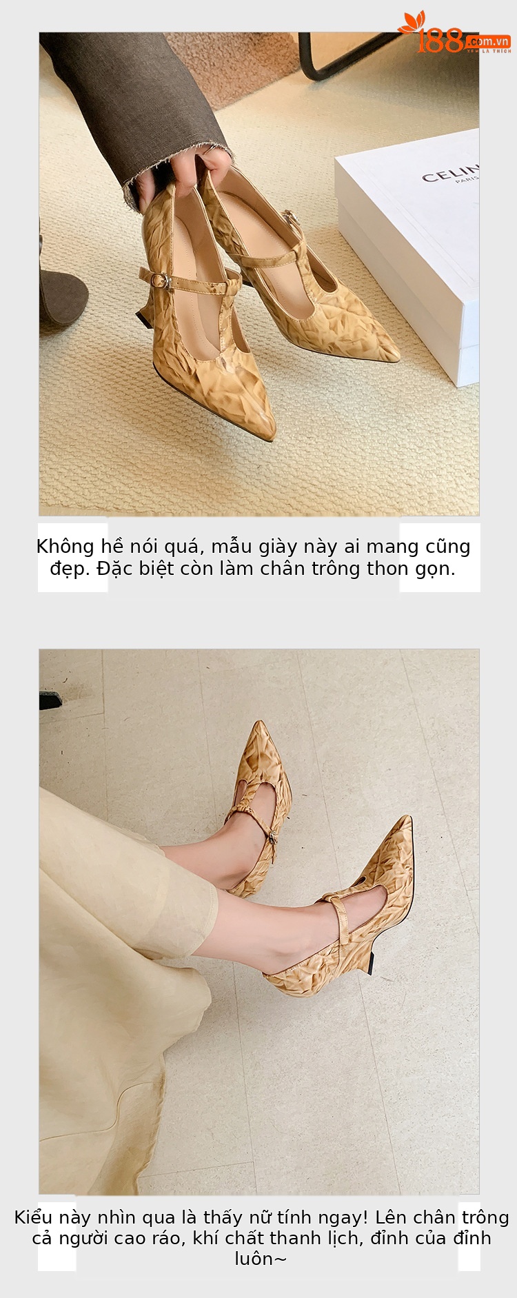 Giày Mary Jane nữ mũi nhọn quai chữ T đế xuồng cao gót phong cách cổ điển — màu đen, màu mơ, màu đỏ chi tiết 6