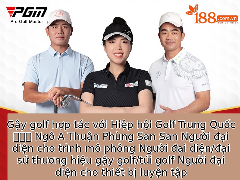 Gậy putter golf PGM-20TH trọng tâm thấp, dung sai cao, dành cho tập luyện — 【Trục thép 950】Gậy putter đen vàng (tặng bao đầu gậy) TUG088 chi tiết 1