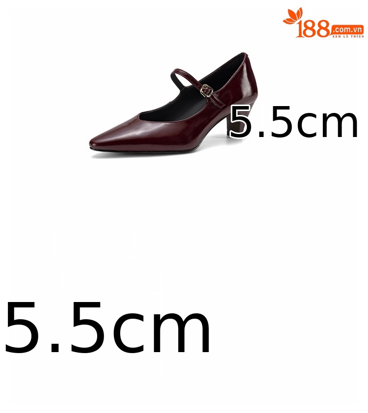 Giày Mary Jane nữ mũi nhọn gót vuông 5.5 cm quai khóa một chữ — Rượu vang đỏ chi tiết 3
