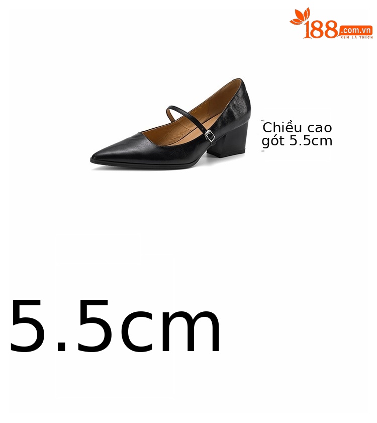 Giày cao gót nữ mũi nhọn da cừu gót 5,5 cm quai ngang khóa — màu nâu chi tiết 4