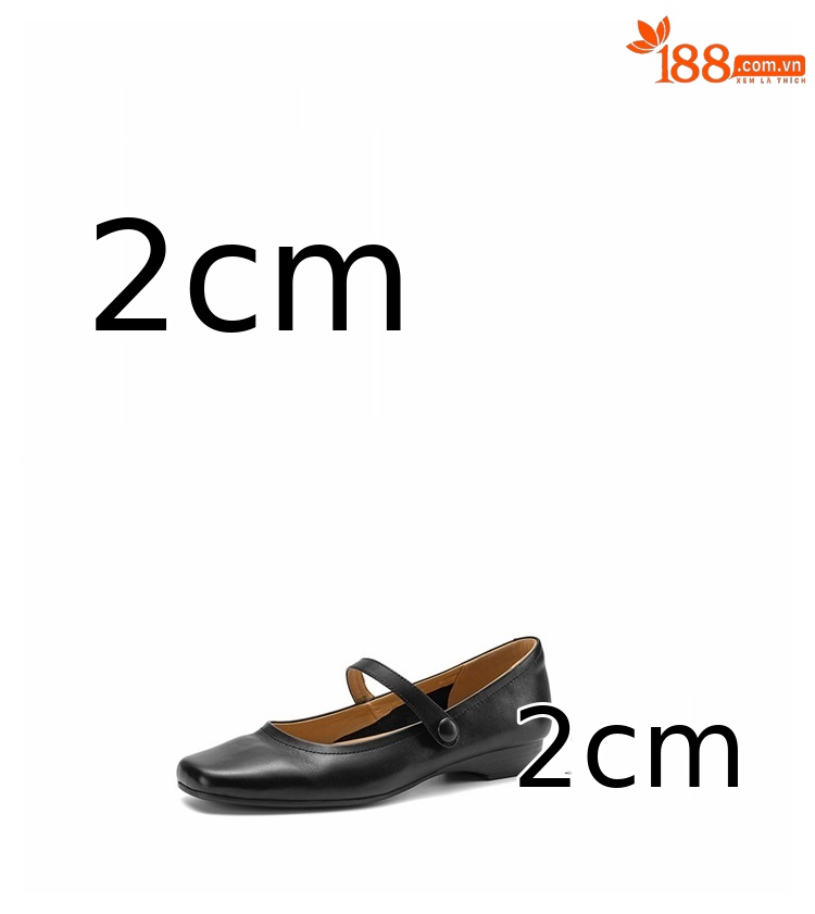 Giày Mary Jane nữ quai ngang khóa, da bò đầu vuông, gót thấp 2 cm, phong cách Pháp cổ điển — đen chi tiết 3