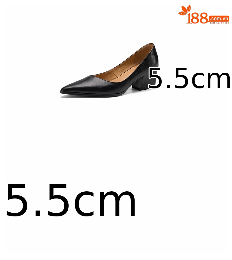 Giày cao gót nữ mũi nhọn da cừu, gót 5,5 cm, quai ngang khóa cài — màu nâu chi tiết 4