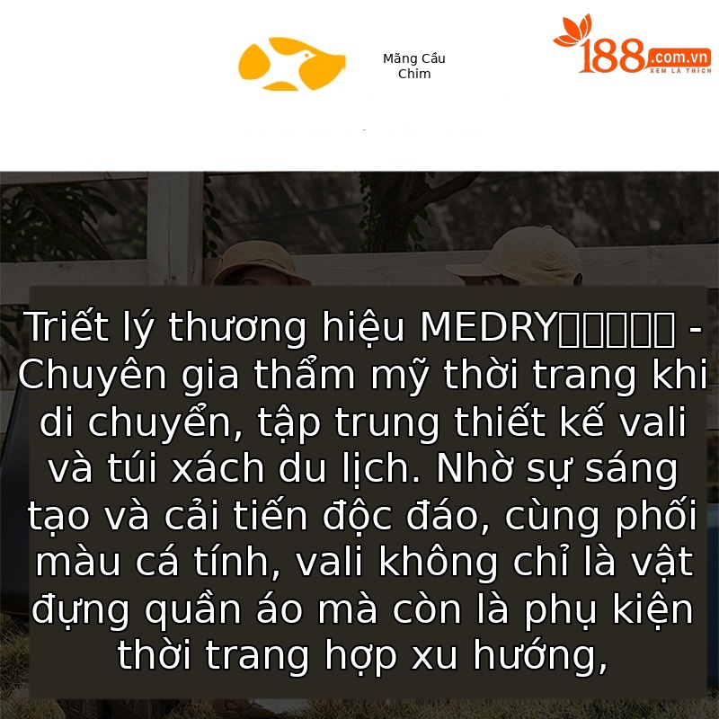 Túi vận chuyển thú cưng gấp gọn có kéo, ba lô đa năng cho chó mèo — màu xám nhạt