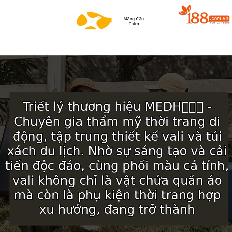 Túi vận chuyển mèo có bánh xe gấp gọn, thoáng khí, dung tích lớn, có thể ngồi hoặc nằm — Bột sáng
