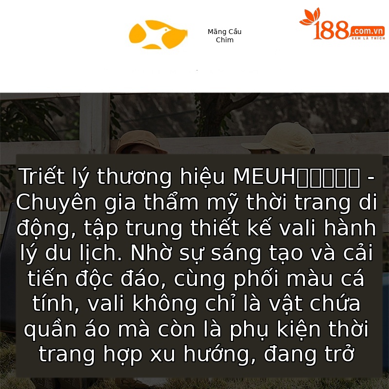Vali vận chuyển mèo có bánh xe, thoáng khí, dung tích lớn, có thể ngồi hoặc nằm — màu xám