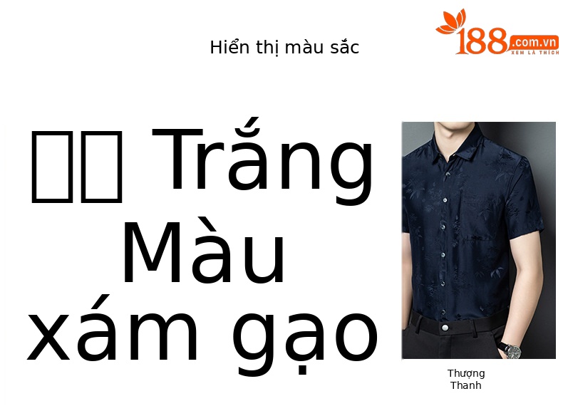Áo sơ mi nam ngắn tay lụa satin cao cấp, phong cách công sở — Da đen26618 chi tiết 5