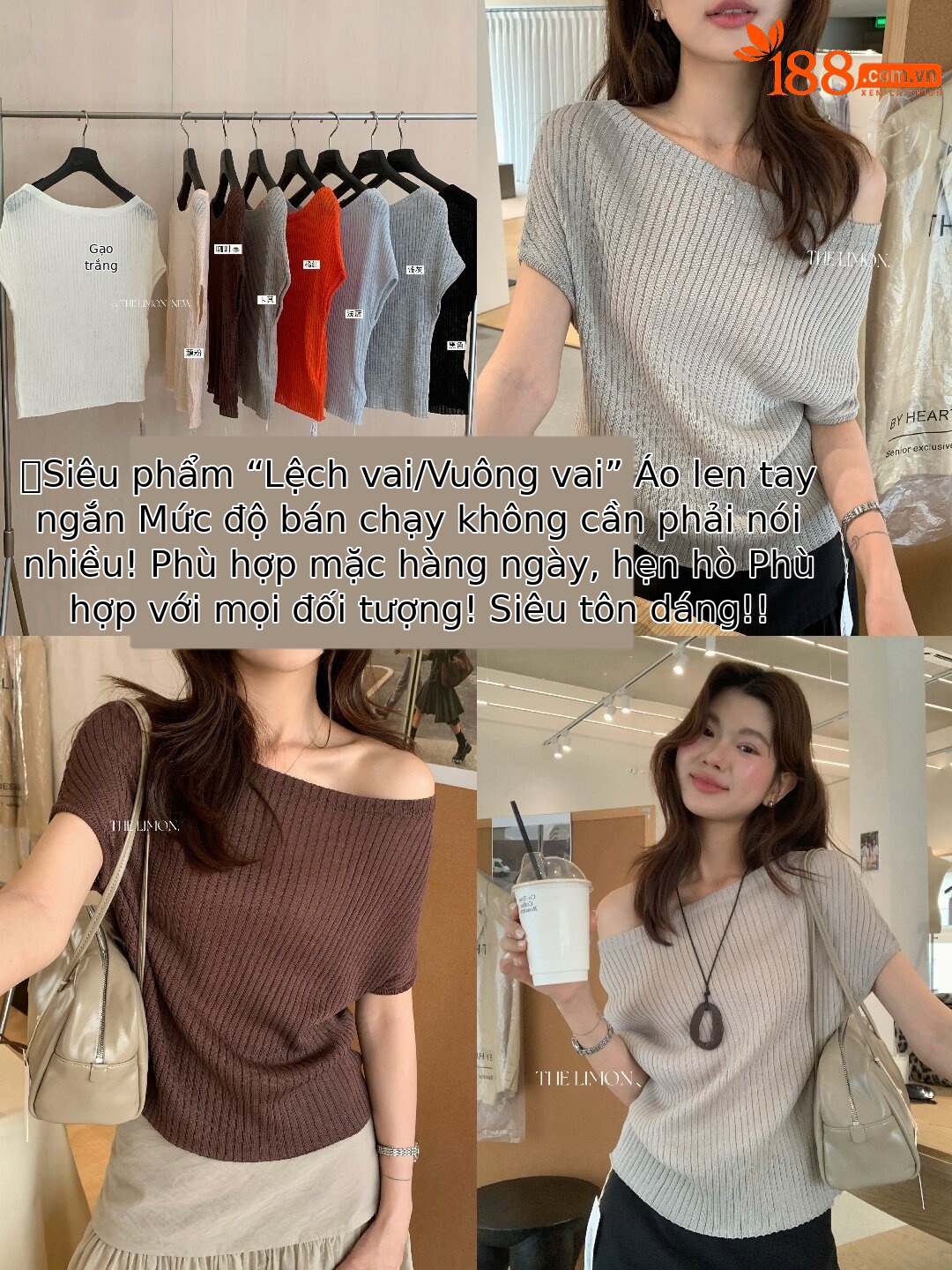 Áo thun nữ cổ tròn basic tay ngắn phong cách Hàn Quốc — Cà phê, màu đen, Bột củ sen, trắng ngà chi tiết 65