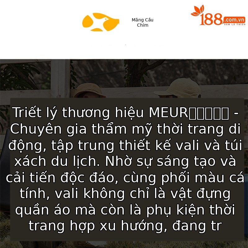 Vali nhựa PC 20 inch nhẹ chống va đập bánh xe im lặng xoay 360 độ — màu hồng vàng