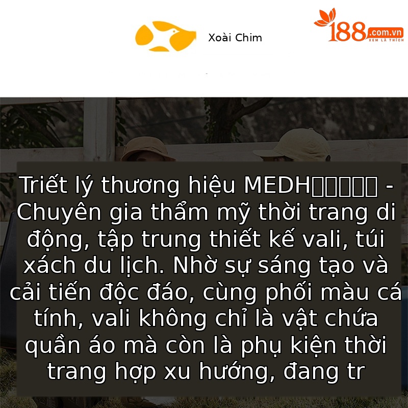 Túi vận chuyển mèo có bánh xe kéo, dung tích lớn, gấp gọn, thoáng khí, mèo có thể ngồi hoặc nằm — Bột sáng