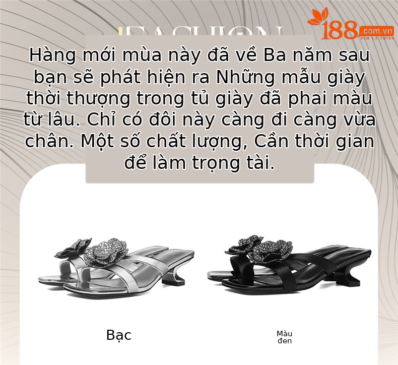 Sandal cao gót nữ hở mũi phong cách Pháp gót 9 cm mùa hè 2026 — 6145 Da đen, 6145 Bạc chi tiết 1