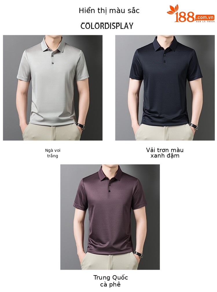Áo thun nam tay ngắn lụa Mulberry cao cấp cổ tròn — Tây Ban Nha 9623 chi tiết 6