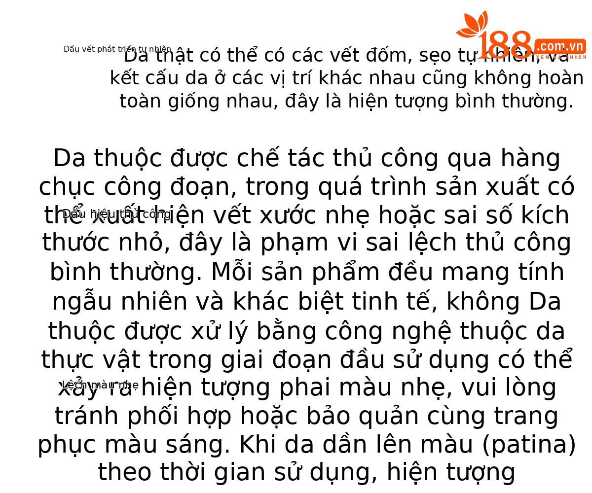 Túi đeo chéo nữ phong cách retro đơn giản, kiểu dáng ôm nách, phù hợp đi làm hằng ngày (24×11.5×17.5 cm) — Đen cổ điển chi tiết 20