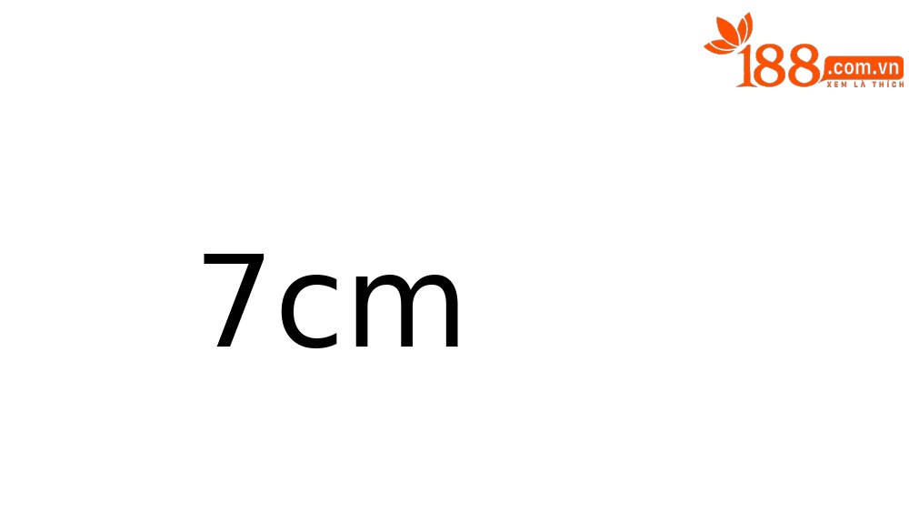 Sandal cao gót nữ mũi nhọn quai chữ T đế dày gót 7 cm — đen chi tiết 3
