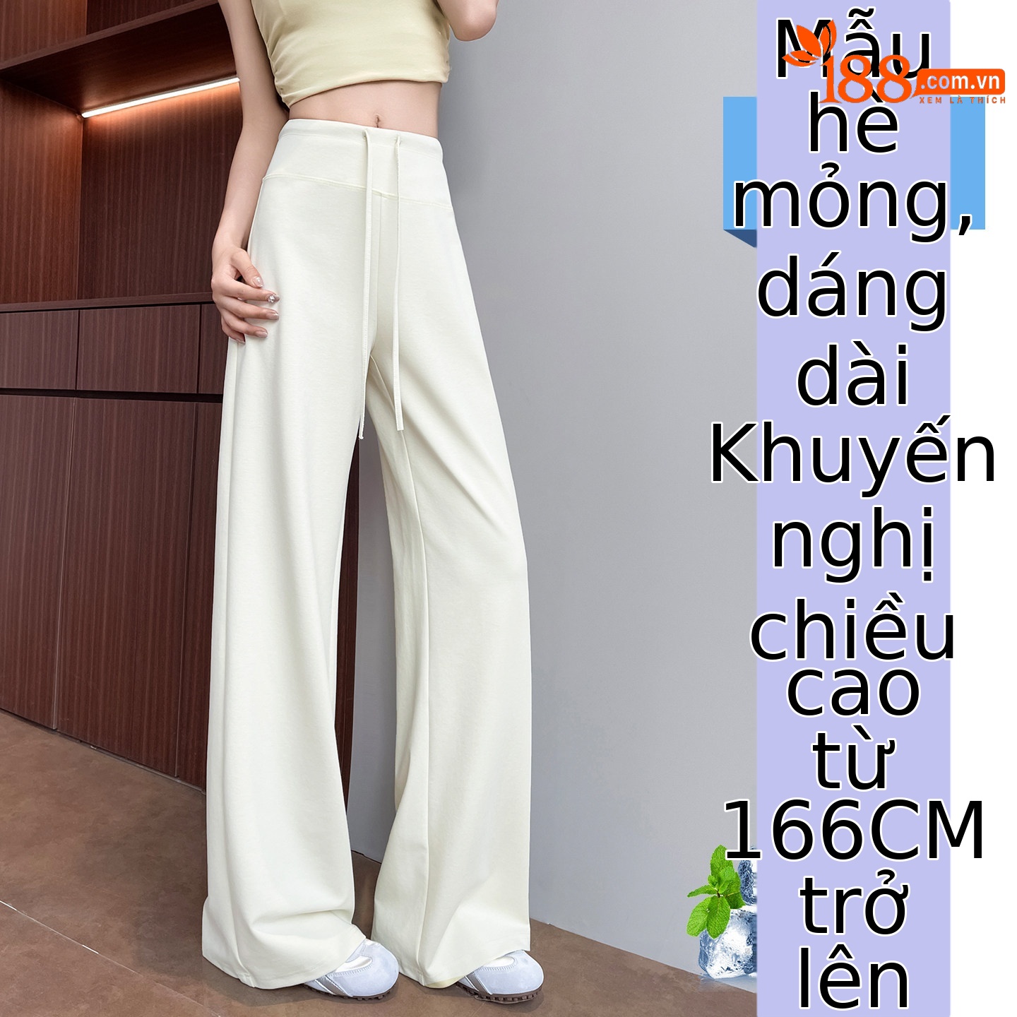 Màu trắng gạo - Extended
