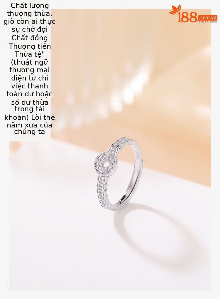 Nhẫn bạc sterling S925 hình đồng xu phong cách Trung Hoa, thiết kế mở điều chỉnh được — Một mảnh chi tiết 1