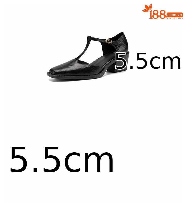 Sandal nữ quai ngang chữ T mũi nhọn gót vuông phong cách Anh retro — màu nâu chi tiết 4