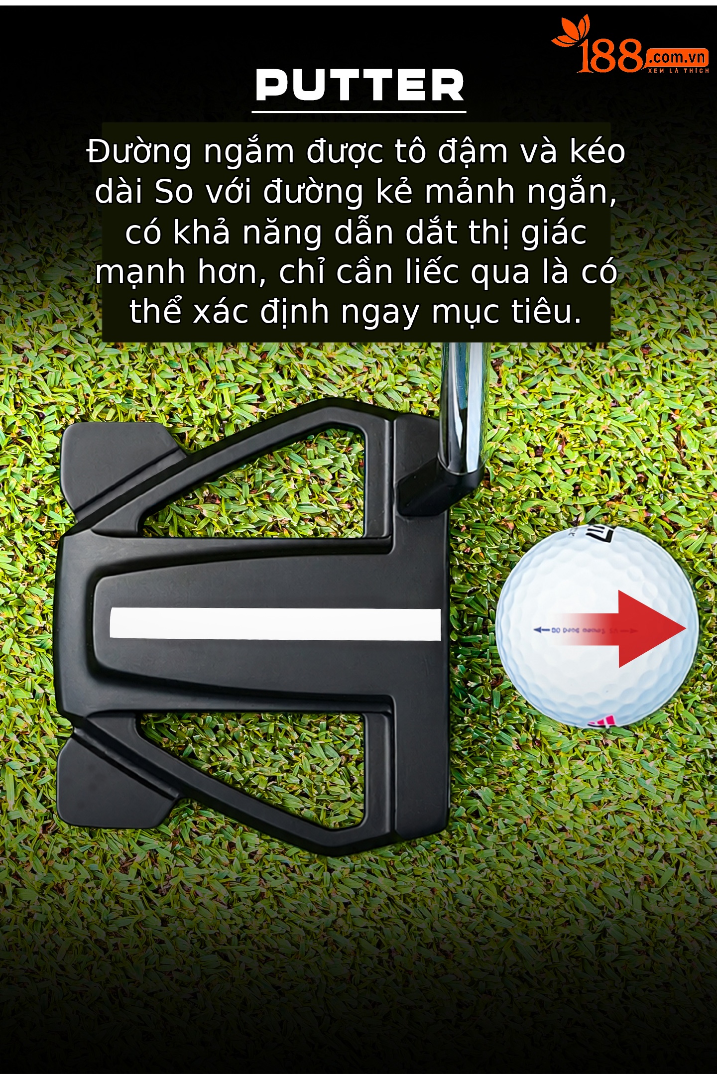 Gậy gạt bóng golf PGM thép không gỉ, đường ngắm dày dài, trọng tâm thấp, độ chính xác cao — Cây gạt bóng đen【Đường ngắm dày dài/Thân thép không gỉ có đốt/Tay cầm chống trượt】TUG095, Cây gạt bóng trắng【Đường ngắm dày dài/Thân thép không gỉ có đốt/Tay cầm chống trượt】TUG095 chi tiết 5