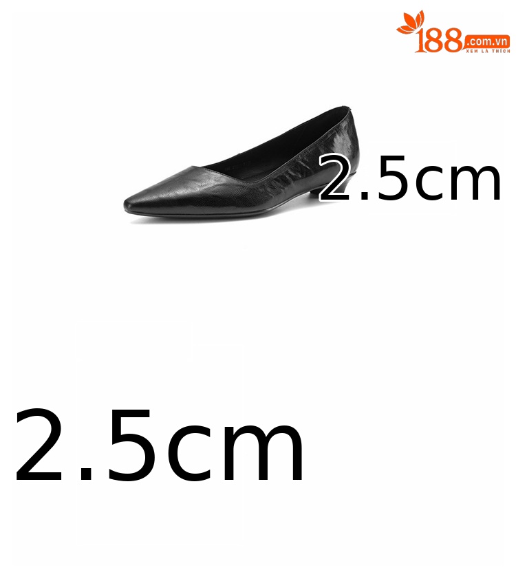 Giày cao gót nữ mũi nhọn da cừu gót thấp 2.5 cm — đen chi tiết 4