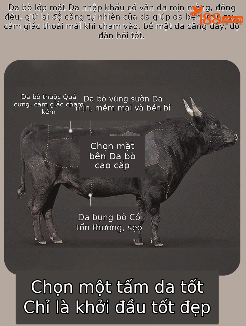 Túi đeo chéo nữ da bò phong cách phương Tây, thiết kế dáng vuông nhỏ gọn, quai xích sang trọng — Đen - Lớn chi tiết 16