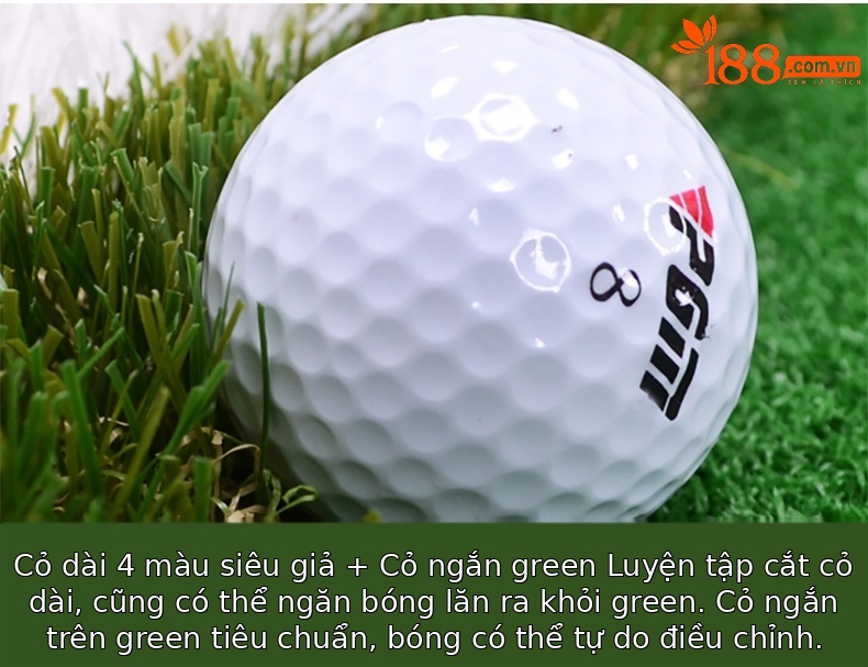 Thảm tập golf mini trong nhà PGM Golf Putter – sân cỏ nhân tạo luyện gạt bóng — Tùy chỉnh (giá vuông) chi tiết 13