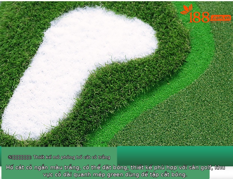 Thảm tập golf mini trong nhà PGM Golf Putter – sân cỏ nhân tạo luyện gạt bóng — Tùy chỉnh (giá vuông) chi tiết 16