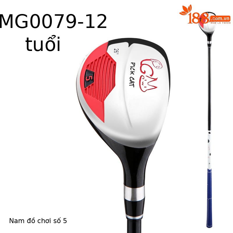 Gỗ số 5 đen 9-12 tuổi