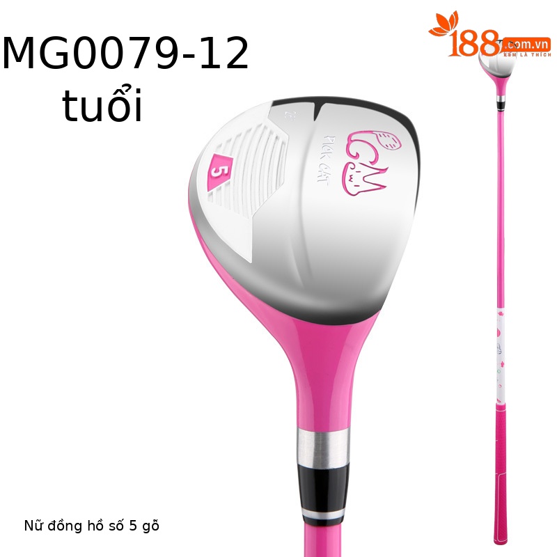 Gỗ số 5 màu hồng 9-12 tuổi