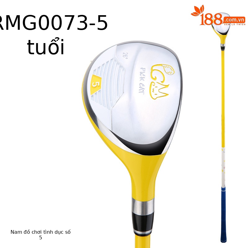 Gỗ số 5 màu vàng 3-5 tuổi