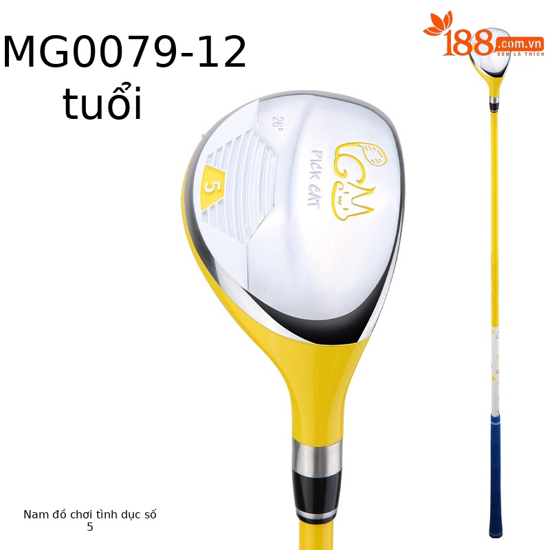 Gỗ số 5 màu vàng 9-12 tuổi