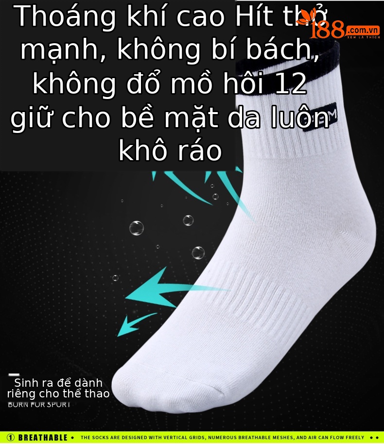Tất golf PGM ống ngắn thể thao nam thấm mồ hôi thoáng khí xuân hè — WZ006 màu trắng, WZ006 màu đen, WZ019-màu trắng, WZ019-Màu đen chi tiết 13