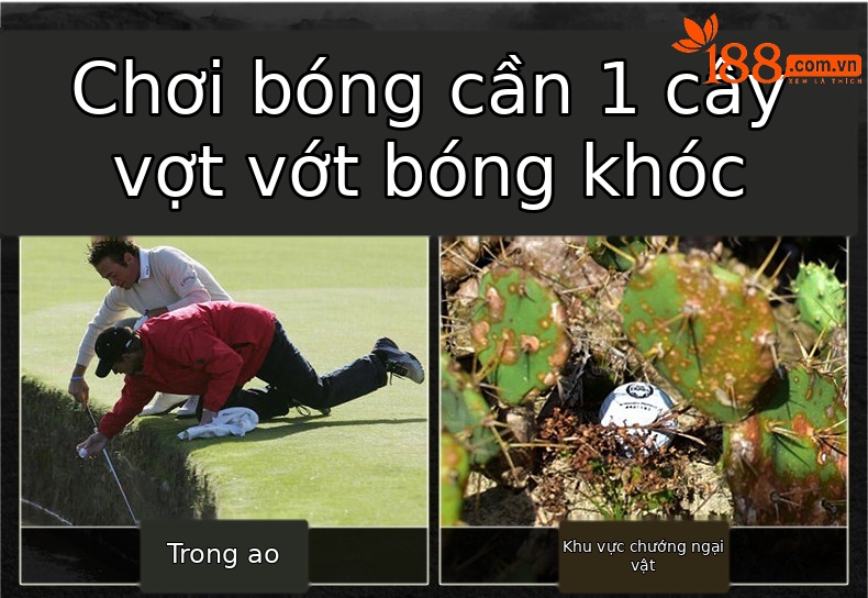 Dụng cụ vớt bóng golf PGM ống lồng tự do 2 mét — Thiết bị đánh bóng Đầu lò xo đôi LQQ005-8 chi tiết 3