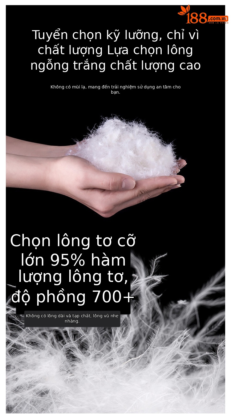 Quần lông vũ nữ cạp cao dày dặn mặc ngoài form suông — Màu đen chi tiết 2