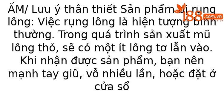 Mũ nồi beret nữ thu đông phong cách bí ngô phồng, giữ ấm tai, lông thỏ mềm mại — Màu đen chi tiết 1