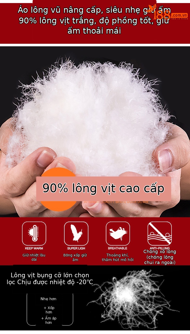 Áo phao lông vịt nữ dáng ngắn có lớp lót tháo rời — 61210 nữ chi tiết 2