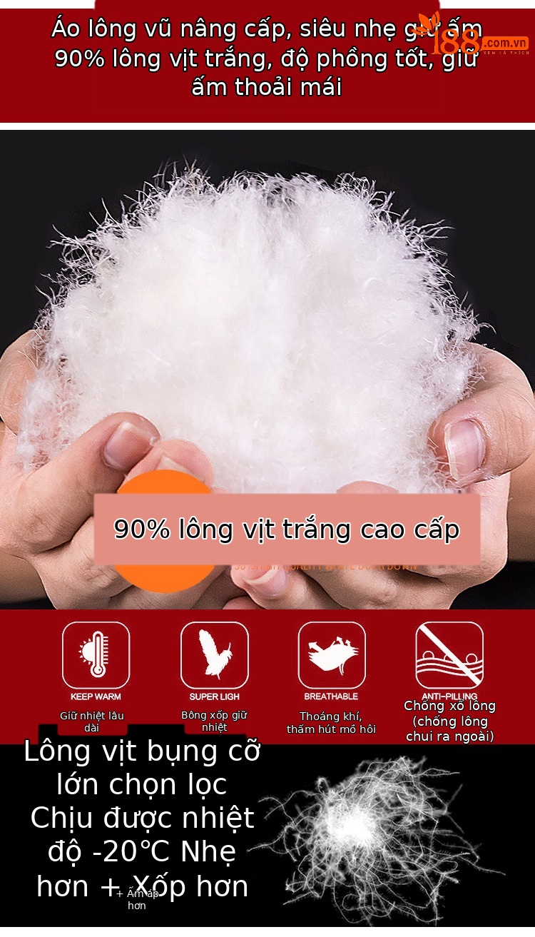 Áo phao lông vịt nữ dáng ngắn có lớp lót tháo rời — 61210 nữ chi tiết 14