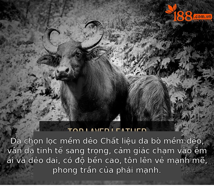 Thắt lưng da bò hai lớp nam Emperor Paul công sở giản dị — 120cm, 130cm, 110cm, 125cm chi tiết 6